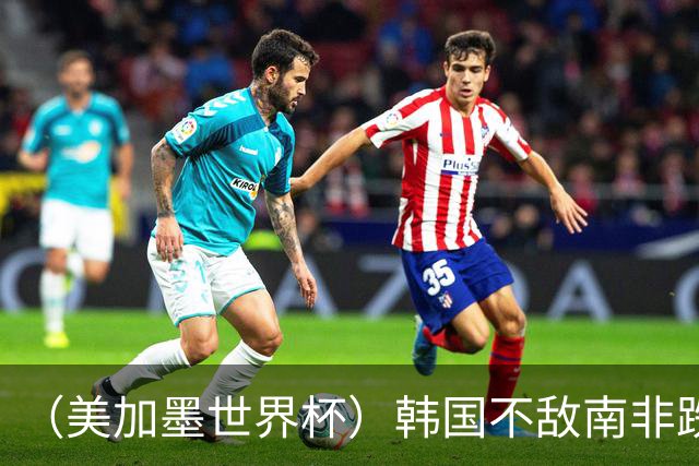 （美加墨世界杯）韩国不敌南非跌至小组第三 出线前景待定